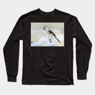 Tufted Titmouse in Winter... Long Sleeve T-Shirt